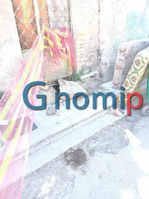 Πάτρα: Γατάκι εγκλωβισμένο στο τσιμέντο κατά τη διάρκεια έργων 1 patra gataki egklovismeno sto tsimen