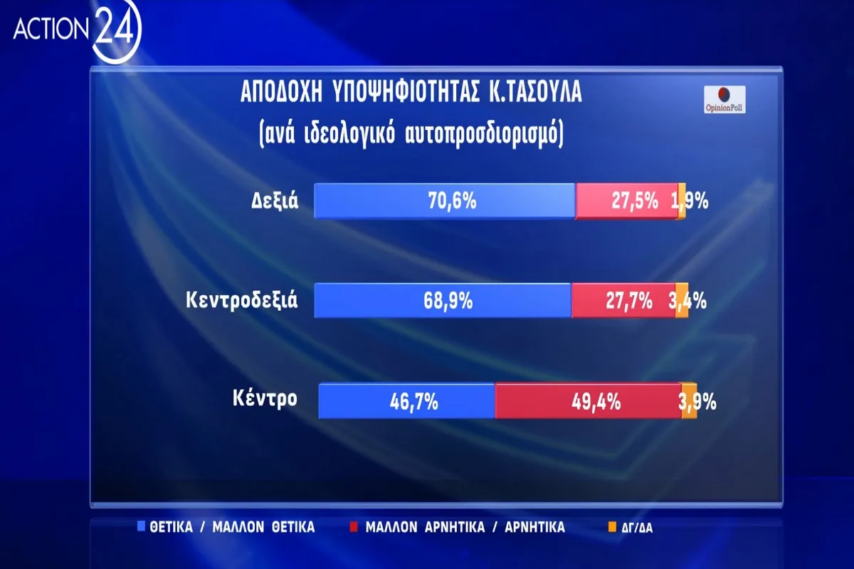 Νέα Αριστερά: Στήριξη στην Λούκα Κατσέλη για την Προεδρία της Δημοκρατίας 3 i nea aristera ypostirizei ti louka ka